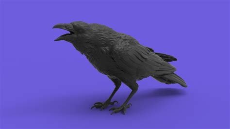 crow 3d model free|crow stl files free download.